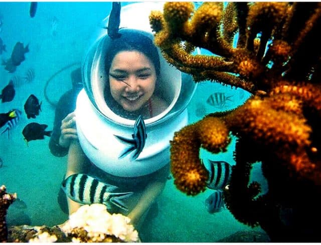 Đi bộ dưới biển ngắm san hô