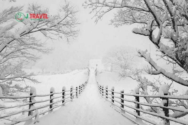 Du lịch Nhật Bản mùa đông bắt đầu từ tháng mấy?