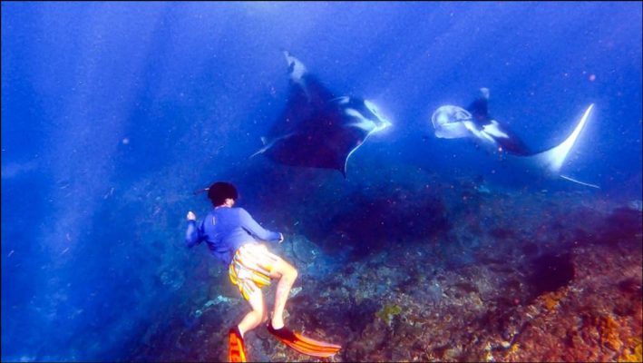 Khám phá manta point