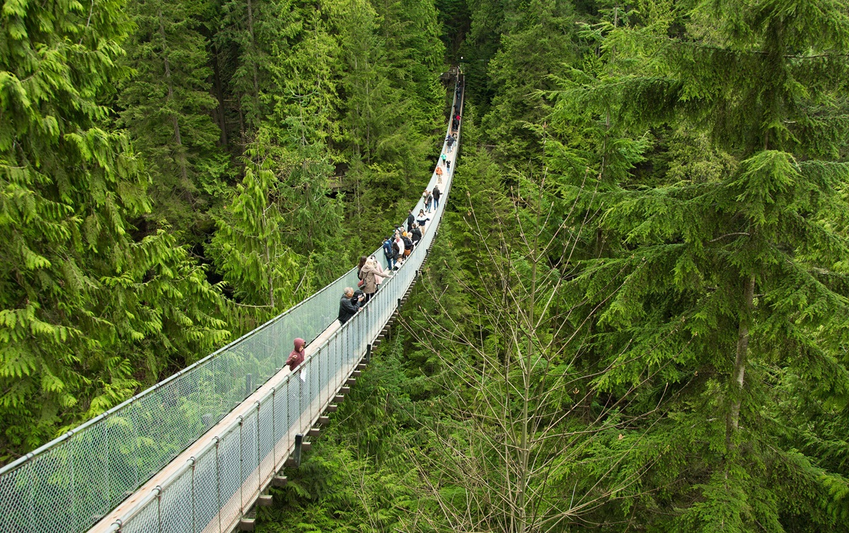 Cây cầu treo Capilano Suspension Bridge