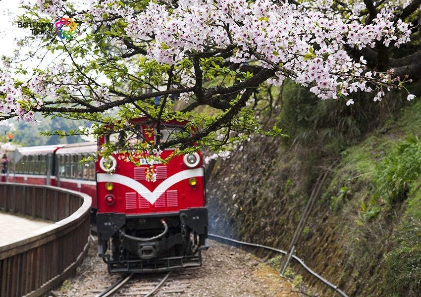 A Lý Sơn và những trải nghiệm thú vị hấp dẫn mọi du khách du lịch Đài Loan