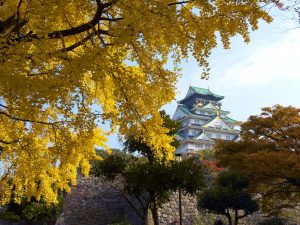 Lâu đài Osaka