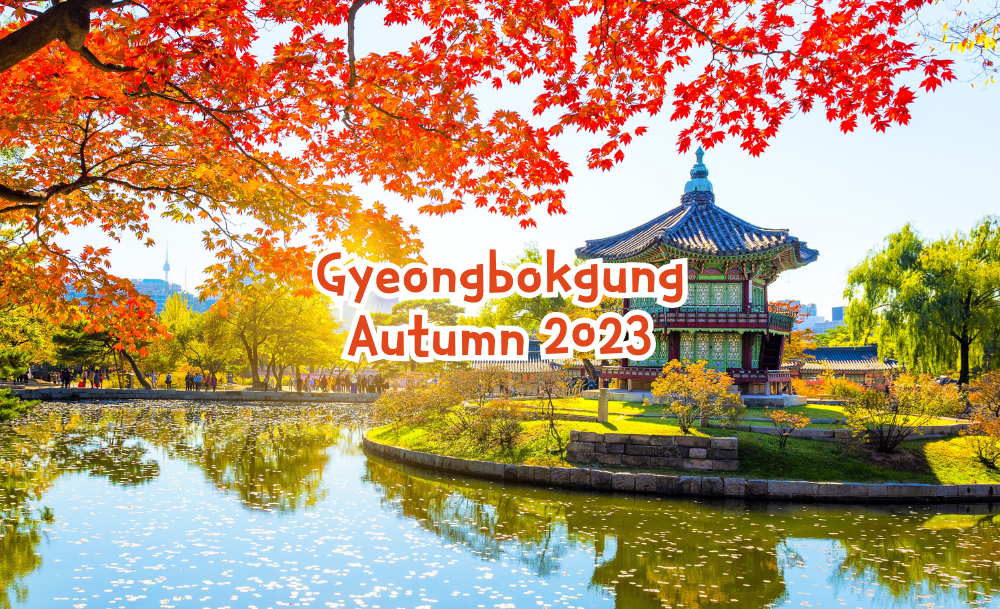 Mùa thu đẹp ngẩn ngơ ở cung điện Gyeongbokgung