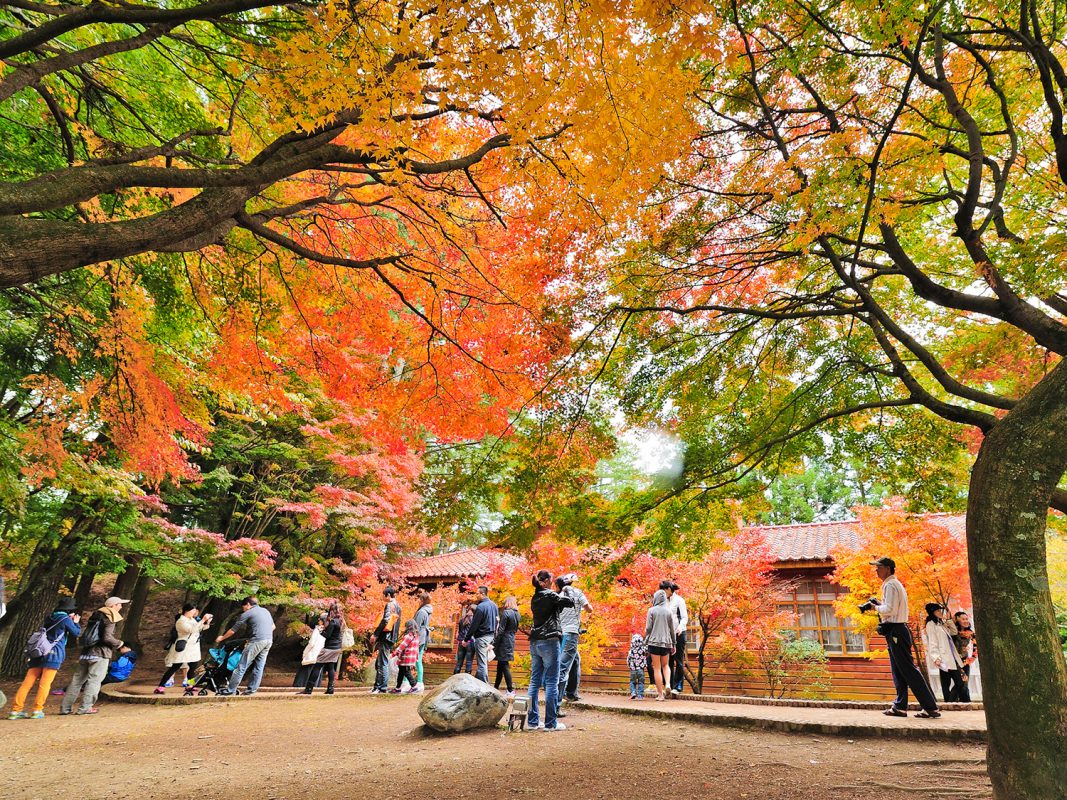 Du lịch mùa thu ở Đài Loan check-in địa danh nào?