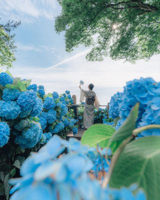 Gợi ý những điểm đến lý tưởng cho chuyến du lịch hè Nhật Bản